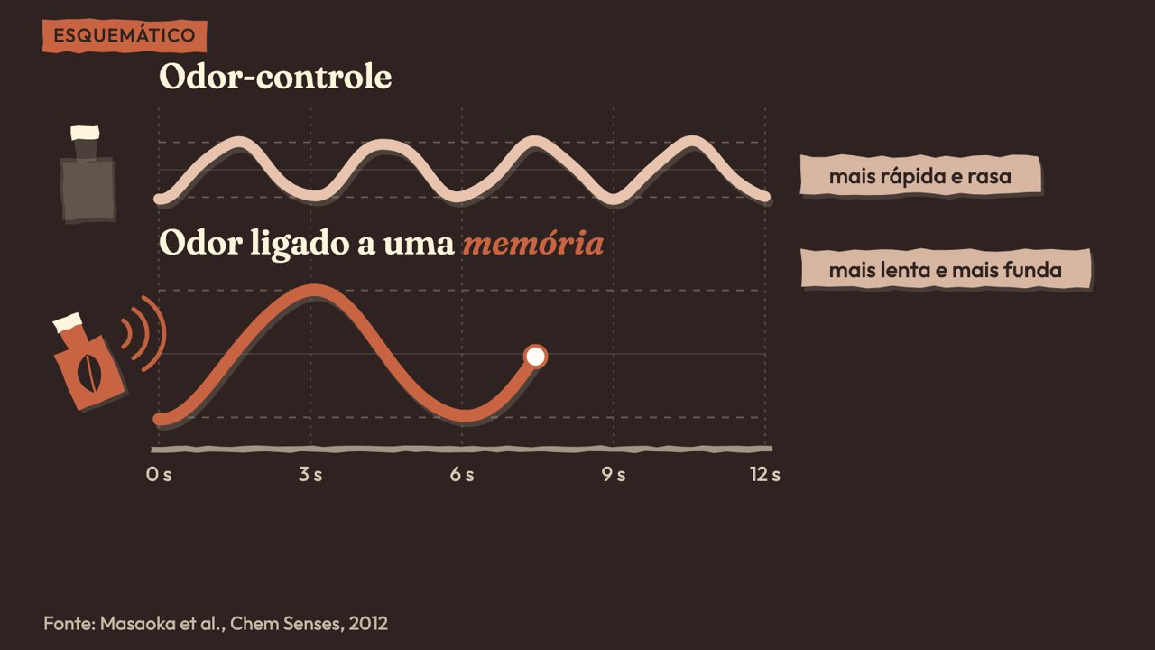 Animação: Odor ligado a uma memória: respiração mais lenta e mais funda. Esquemático. Masaoka e colaboradores, 2012.